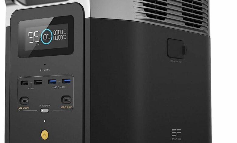 ef ecoflow delta 2 220v review